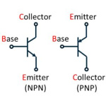 trans